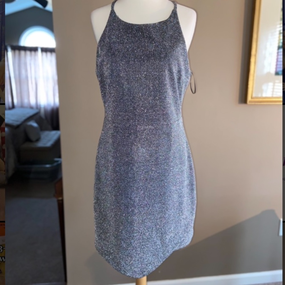 Express Silver/ Metallic Dress